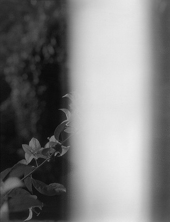02 Eduardo Rosal - Ilford FP4 Plus 125 645 MF por Arca Film Lab (Abril 2024)