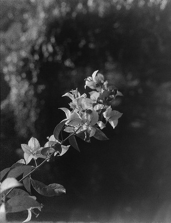 01 Eduardo Rosal - Ilford FP4 Plus 125 645 MF por Arca Film Lab (Abril 2024)