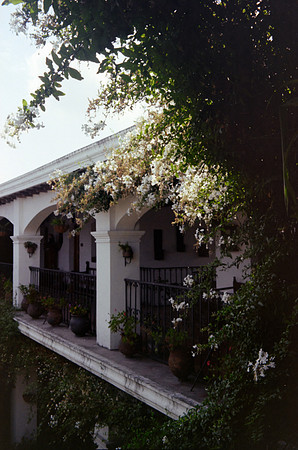 27 Jorge Iboy Kodak Gold por Arca Film Lab (Mayo 2024) - Rollo 0087