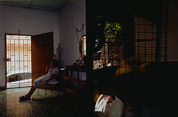 31 Sofía Castro - Kodak Gold 200 por Arca Film Lab (Febrero 2025) - Rollo 0725