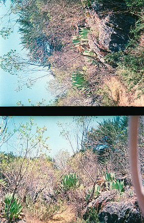 02 Mario Cattousse - Fujifilm 400 por Arca Film Lab (Abril 2024)