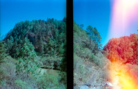05 Mario Cattousse - Fujifilm 400 por Arca Film Lab (Abril 2024)