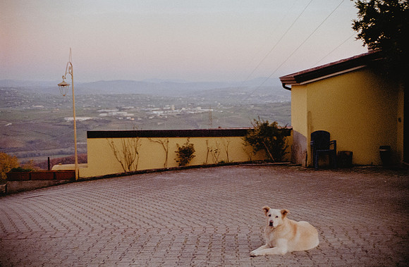 18 Marcela Alvarado - Kodak Gold 200 por Arca Film Lab (Febrero 2025) - Rollo 0770