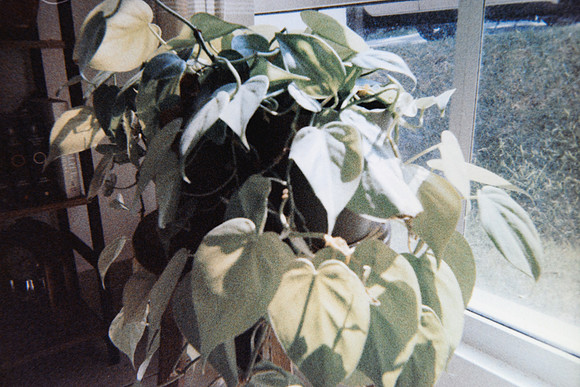 41 Ernestina - Retocolor Glow 400 por Arca Film Lab (Abril 2024)