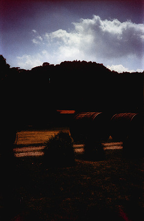 37 David Santiago - Candido 400 por Arca Film Lab (Abril 2024)