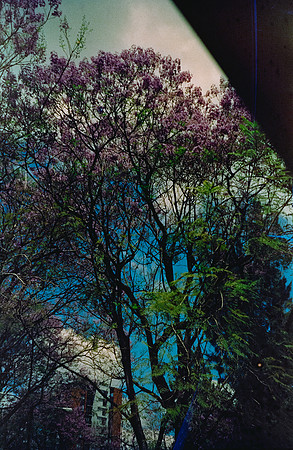 14 Rafael Peyré - Cute Color New York 400 por Arca Film Lab (Junio 2025) - Rollo 1102