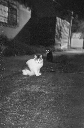 15 Carmen Tórres - Ilford HP5+ 400 por Arca Film Lab (Septiembre 2024) - Rollo 0334