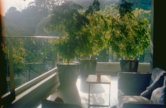 11 Chango - Kodak Portra 400 Con Bordes por Arca Film Lab (Abril 2024)