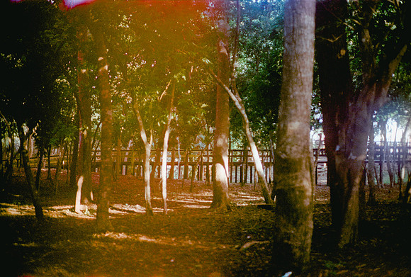 07 Chango - Kodak Portra 400 #2 por Arca Film Lab (Abril 2024)