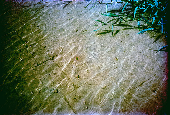 09 Chango - Kodak Portra 400 #2 por Arca Film Lab (Abril 2024)