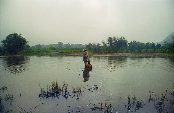 14 Ronald Ottoniel - Cinestill 800T por Arca Film Lab (Enero 2025) - Rollo 0616