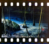 20 Yasemin Tocpan - Cyberpunk 640T por Arca Film Lab (Octubre 2024) - Rollo 0394