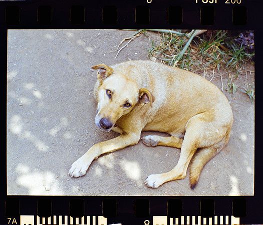 08 Ronald Ottoniel - Fujifilm 200 por Arca Film Lab (Mayo 2024) - Rollo 0089