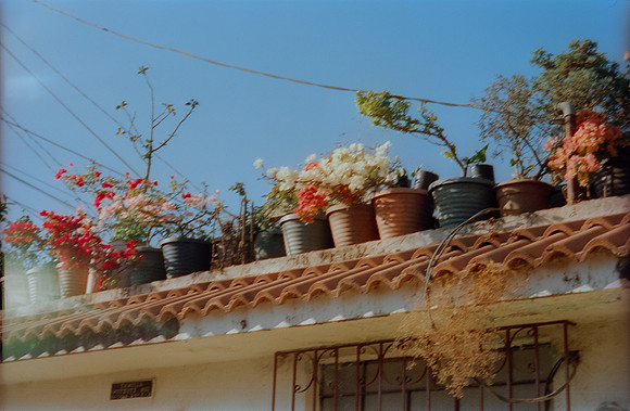 10 Hector Antonio - Cinestill 400D por Arca Film Lab (Abril 2024)