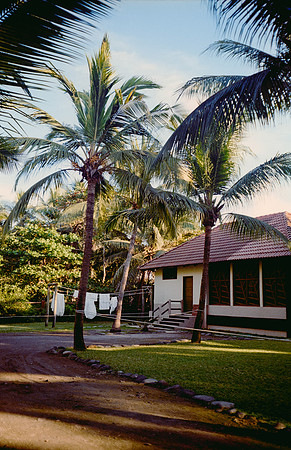 04 Jazmine Sousa - Kodak Gold 200 por Arca Film Lab (Marzo 2025) - Rollo 0847