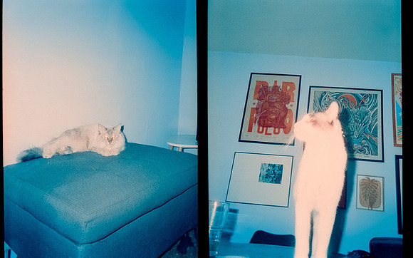 03 Alenxander Membreño - Cinestill 800T por Arca Film Lab (Abril 2025) - Rollo 0927