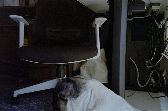 03 Gabby García - Kodak Portra 400 por Arca Film Lab (Abril 2024)