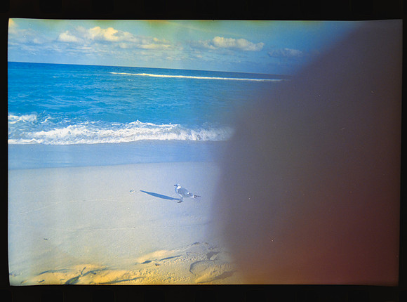 04 Carlos León - Kodak 800 27 Fun Saver por Arca Film Lab (Abril 2024)