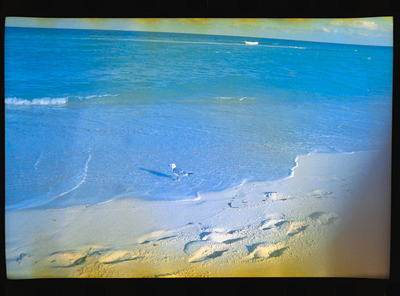 03 Carlos León - Kodak 800 27 Fun Saver por Arca Film Lab (Abril 2024)