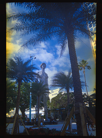 08 Carlos León - Kodak 800 27 Fun Saver por Arca Film Lab (Abril 2024)