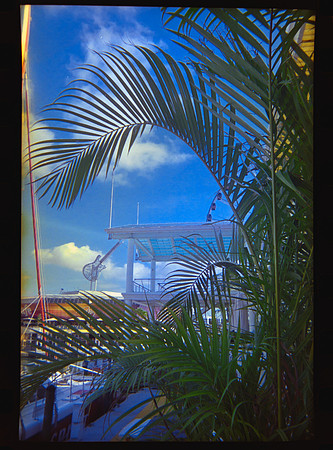 12 Carlos León - Kodak 800 27 Fun Saver por Arca Film Lab (Abril 2024)