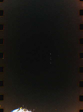 26 Carlos León - Kodak 800 27 Fun Saver por Arca Film Lab (Abril 2024)