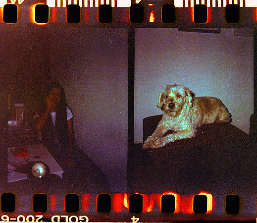 03 Carlos León - Kodak Gold 200 Half Frame por Arca Film Lab (Abril 2024)