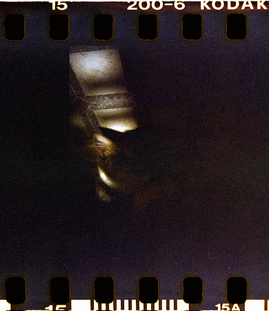 12 Carlos León - Kodak Gold 200 Half Frame por Arca Film Lab (Abril 2024)