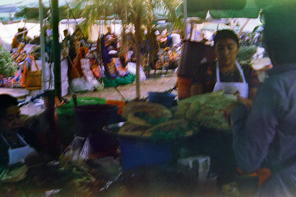 19 Raffy Peyré - Santa Gold 200 por Arca Film Lab (Abril 2024)