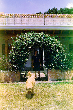 32 Raffy Peyré - Santa Gold 200 por Arca Film Lab (Abril 2024)