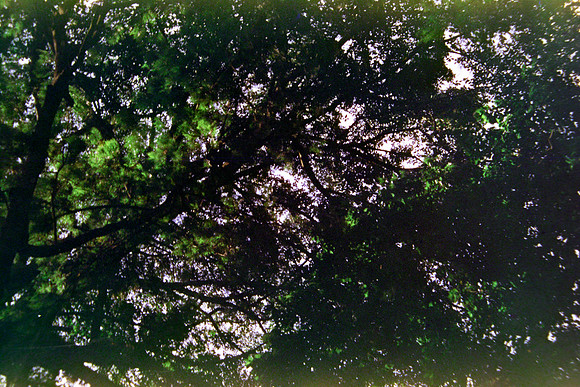 35 Raffy Peyré - Santa Gold 200 por Arca Film Lab (Abril 2024)