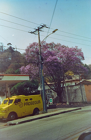 20 Rafael Peyré - Cute Color New York 400 por Arca Film Lab (Junio 2025) - Rollo 1102