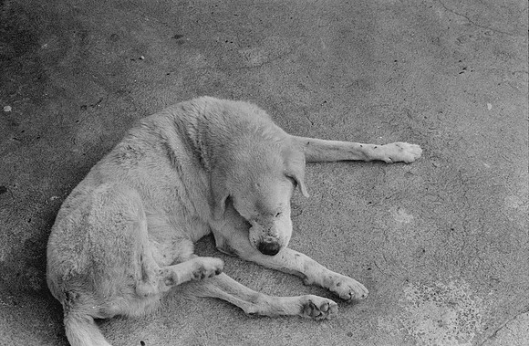 31 Christopher Robles - Ilford HP5+ 400 por Arca Film Lab (Febrero 2025) - Rollo 0680