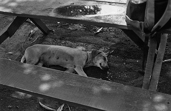 18 Christian Arriola - Kodak 400TX por Arca Film Lab (Junio 2024) - Rollo 0096