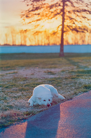 16 Todd Morales - Fujifilm Pro400H por Arca Film Lab (Agosto 2024) - Rollo 0225
