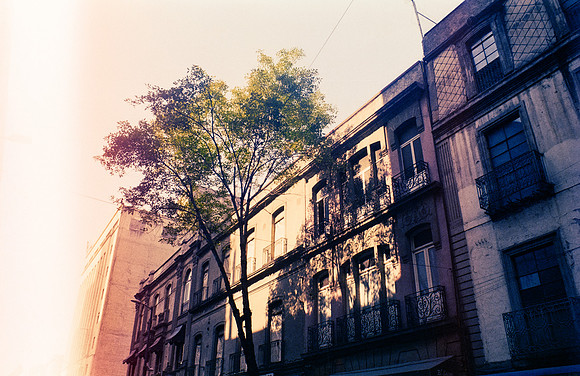 05 José Vásquez - Fujifilm 200 por Arca Film Lab (Enero 2025) - Rollo 0667