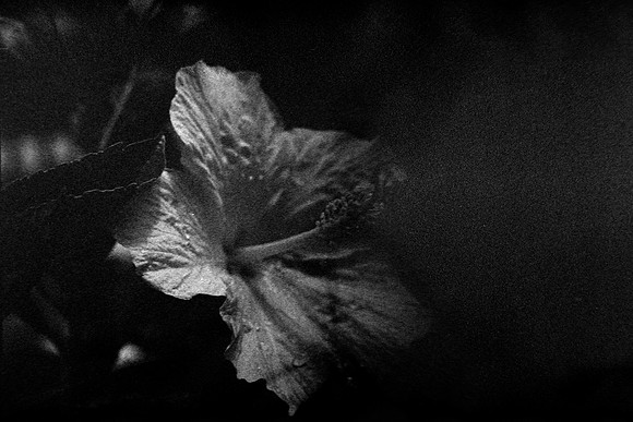 10 Carlos Castro - Ilford HP5+ 400 por Arca Film Lab (Septiembre 2024) - Rollo 0345