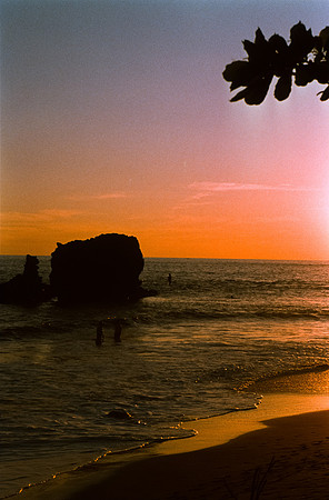33 Eduardo Chávez - Kodak Ektachrome 100 por Arca Film Lab (Febrero 2025) - Rollo 0694