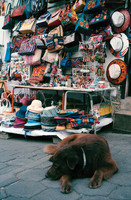 16 Isha Morales - Fujifilm 400 por Arca Film Lab (Octubre 2024) - Rollo 0083