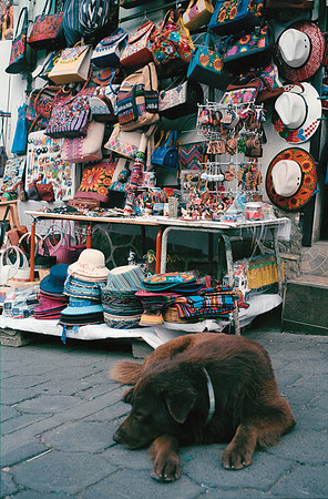 16 Isha Morales - Fujifilm 400 por Arca Film Lab (Octubre 2024) - Rollo 0083