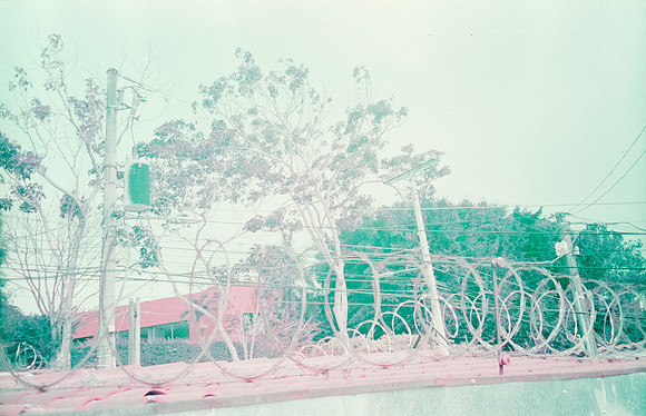 09 Natalia Mendoza - Lomography Purple por Arca Film Lab (Mayo 2025) - Rollo 1019