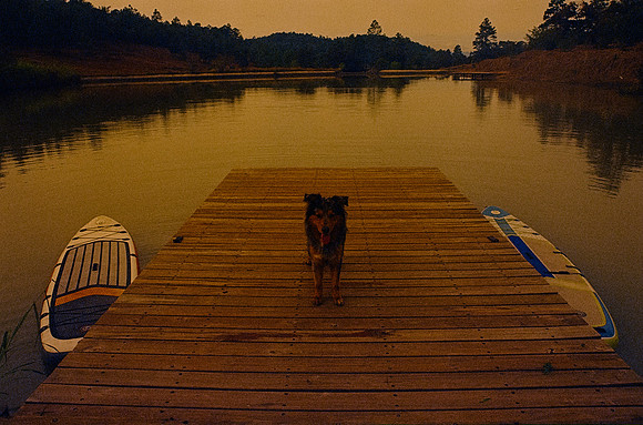 24 Omar Véliz - Kodak Vision 3 500T por Arca Film Lab (Febrero 2025) - Rollo 0682