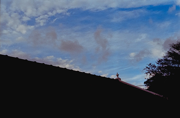 11 Alexander Daum - Kodak Ultramax 400 por Arca Film Lab (Enero 2025) - Rollo 0632
