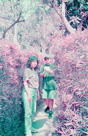 18 Natalia Mendoza - Lomography Purple por Arca Film Lab (Mayo 2025) - Rollo 1019