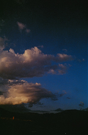04 David Santiago - Kodak Ultramax 400 por Arca Film Lab (Enero 2025) - Rollo 0703