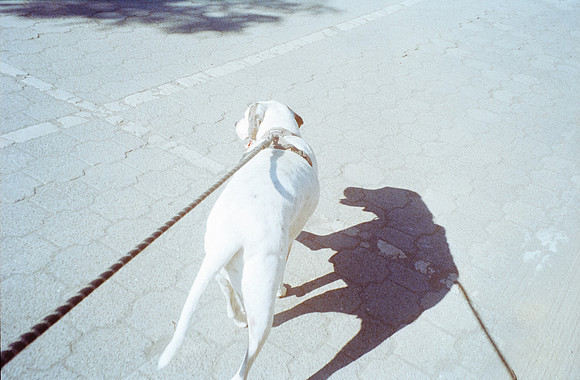 08 Ronald Ottoniel - Kodak Ultramax 400 por Arca Film Lab (Diciembre 2024) - Rollo 0533