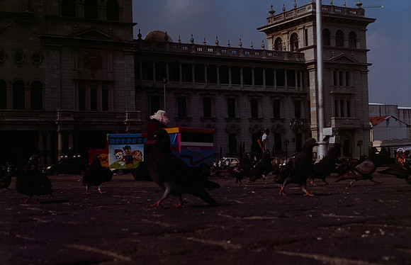 21 Elliot Morales - Cinestill 400D por Arca Film Lab (Mayo 2025) - Rollo 1049