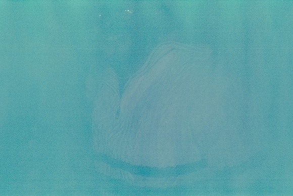 02 Jazmine Sousa - Kodak Ultramax 400 por Arca Film Lab (Agosto 2024) - Rollo 0304
