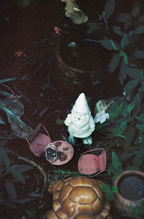 11 Durden - Kodak Aerocolor IV por Arca Film Lab (Noviembre 2024) - Rollo 0500
