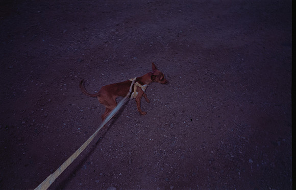 23 Todd Morales - Fujifilm 400 por Arca Film Lab (Agosto 2024) - Rollo 0227